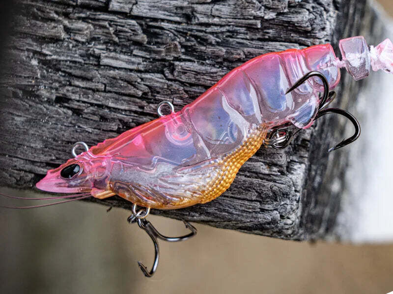 An Armour Prawn hooked over a weathered jetty post