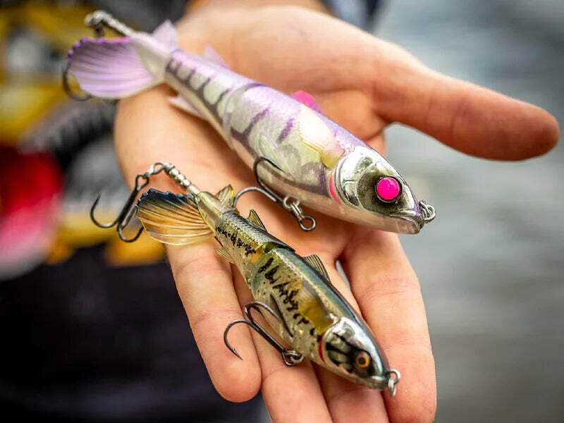 Two Drunken Mullets in an angler's hand