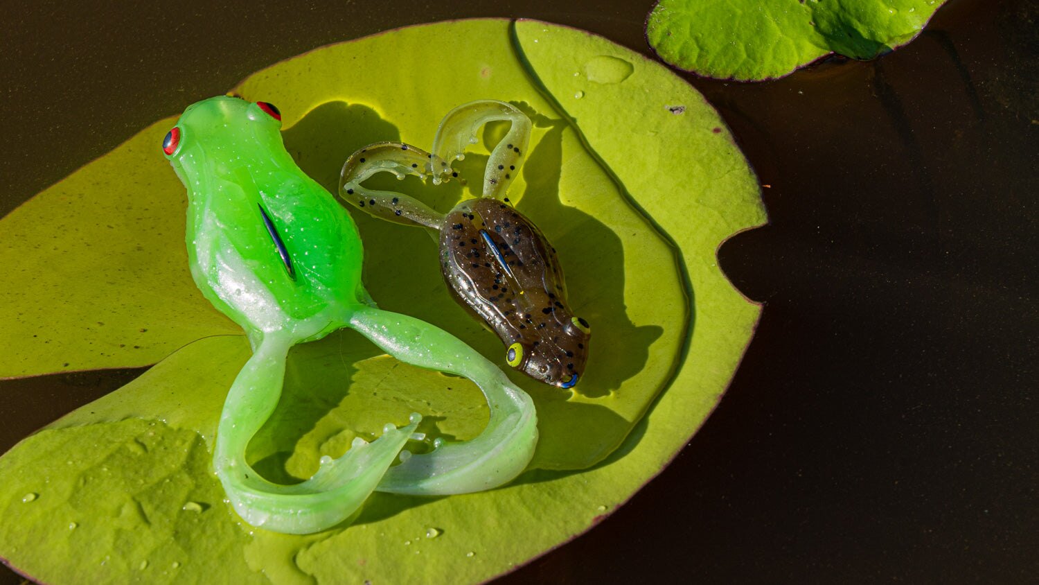 Two Flexi Frogs on a lily pad
