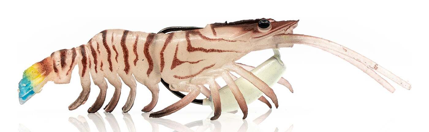 The Flick Prawn in Tiger Prawn