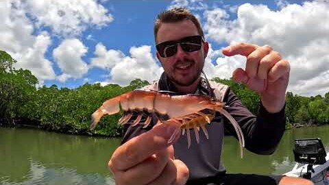 Flick Prawn overview video