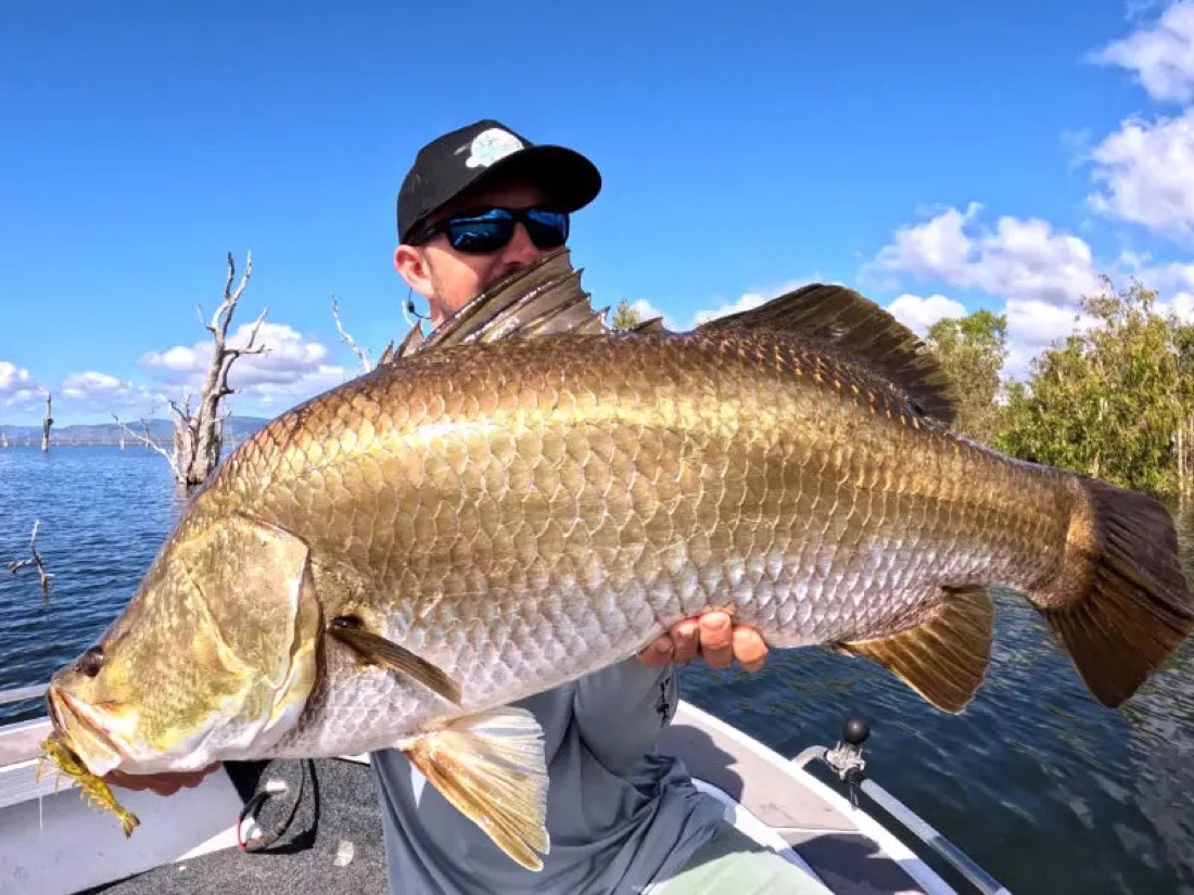Angler holding a barramundi caught on a Flick Prawn