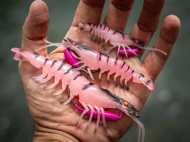 Three pink Flick Prawns in an open hand