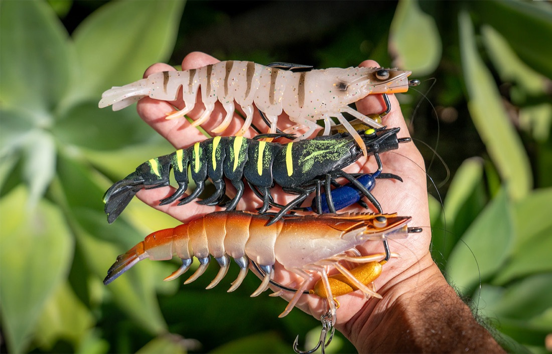 Three Flick Prawns held among leaves